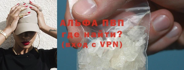 эйфоретик Инта