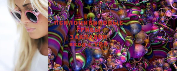 мяу мяу мука Алексин